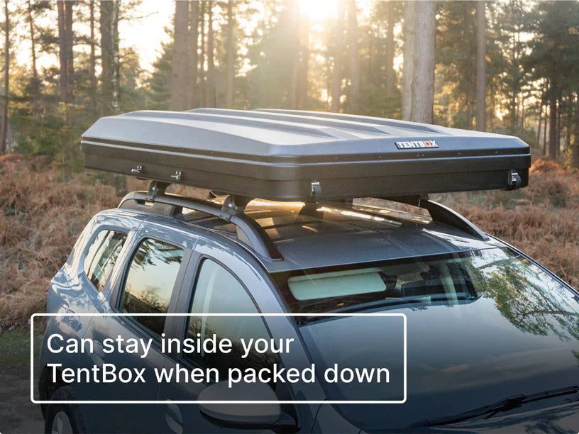TentBox BackRest
