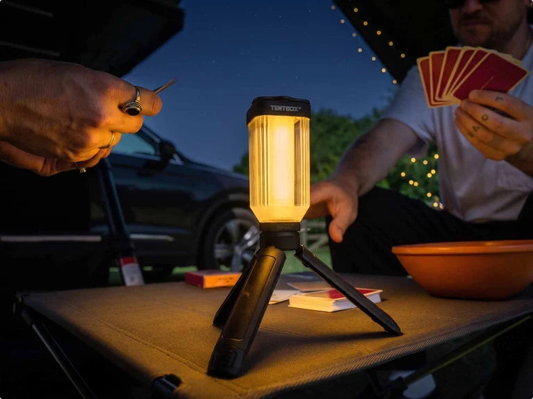 Mini Tripod Light